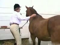 Gangbang horse - Pony Sex Game
